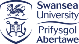 Swansea University